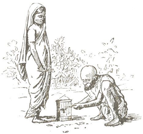 Pet