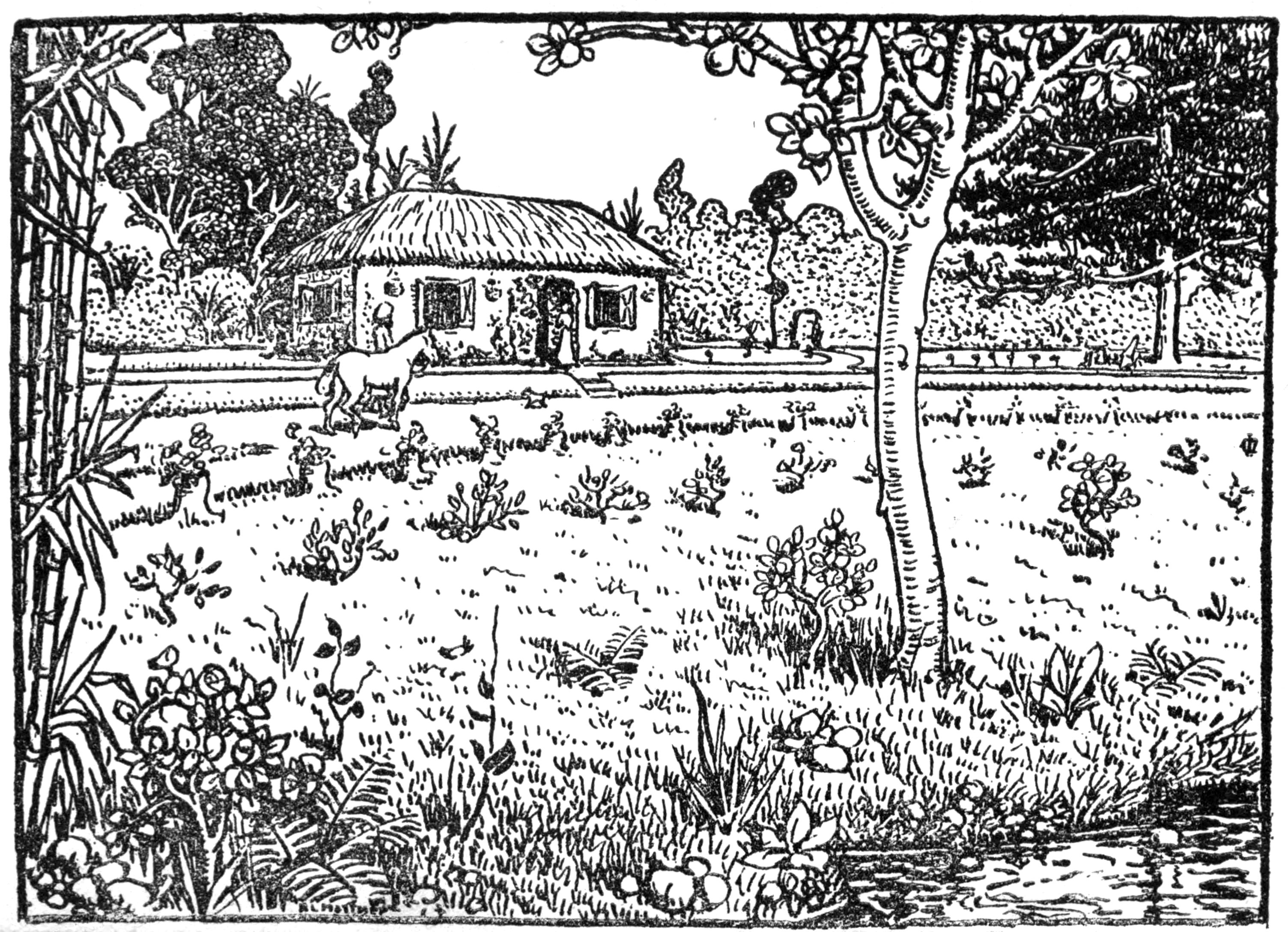 My Cottage