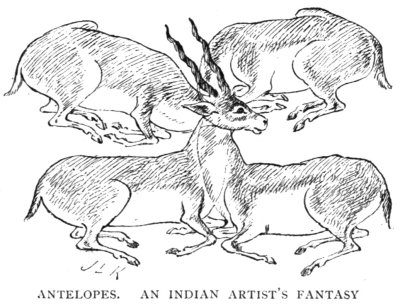 Antelopes