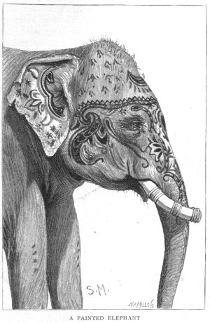 Painted Elephant