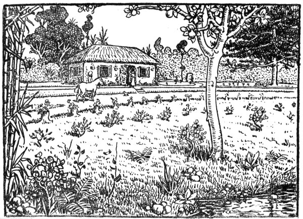 My Cottage